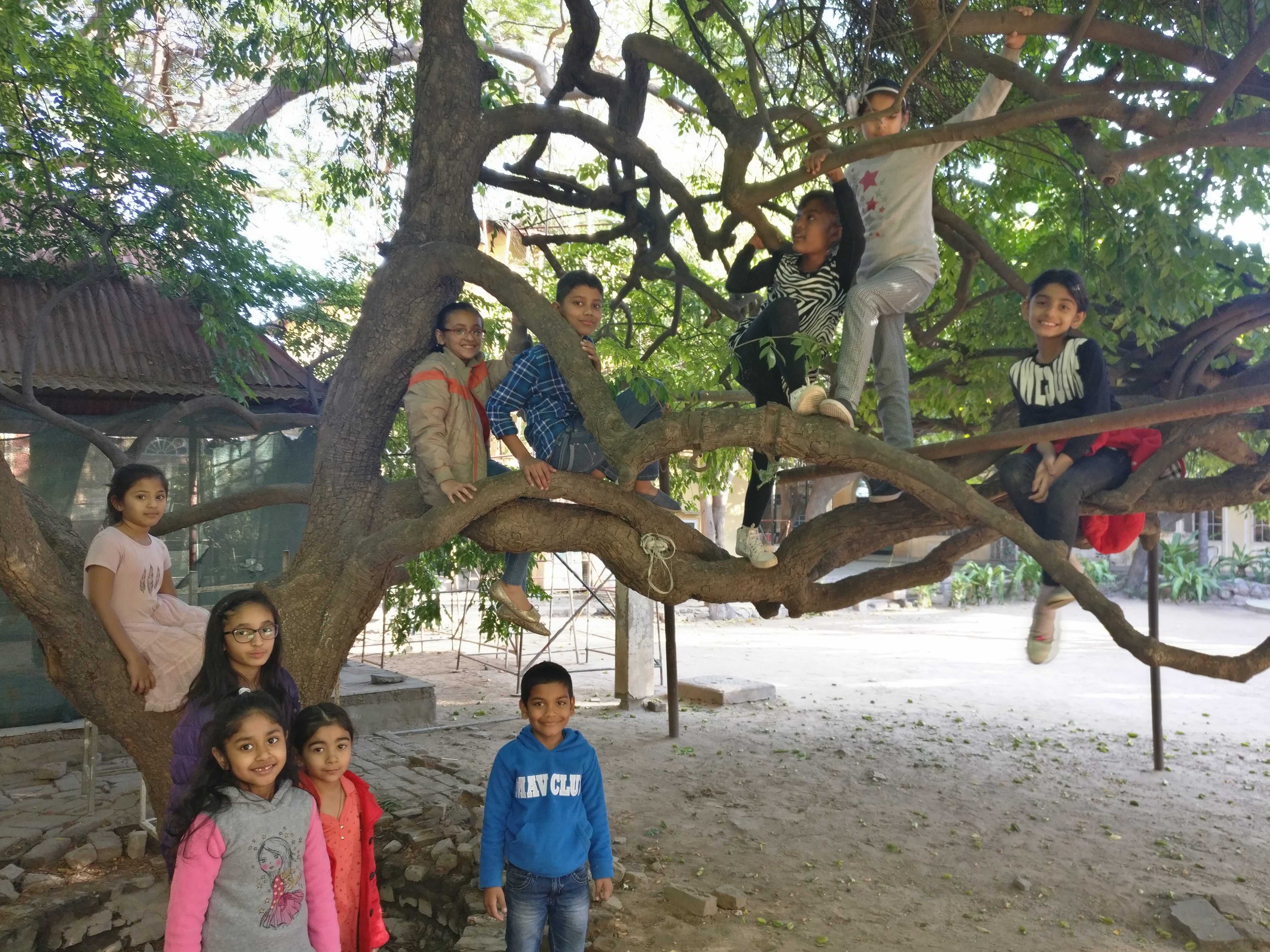 Story Tree session moment - year-end session